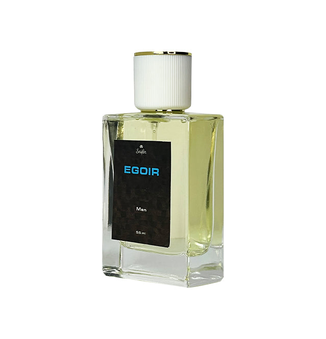 Egoir